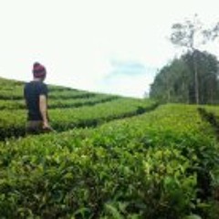 Sungha Jung - To be With You.mp3