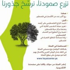 Nada Yehia
