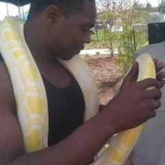 Waddell VS Dale Diesel