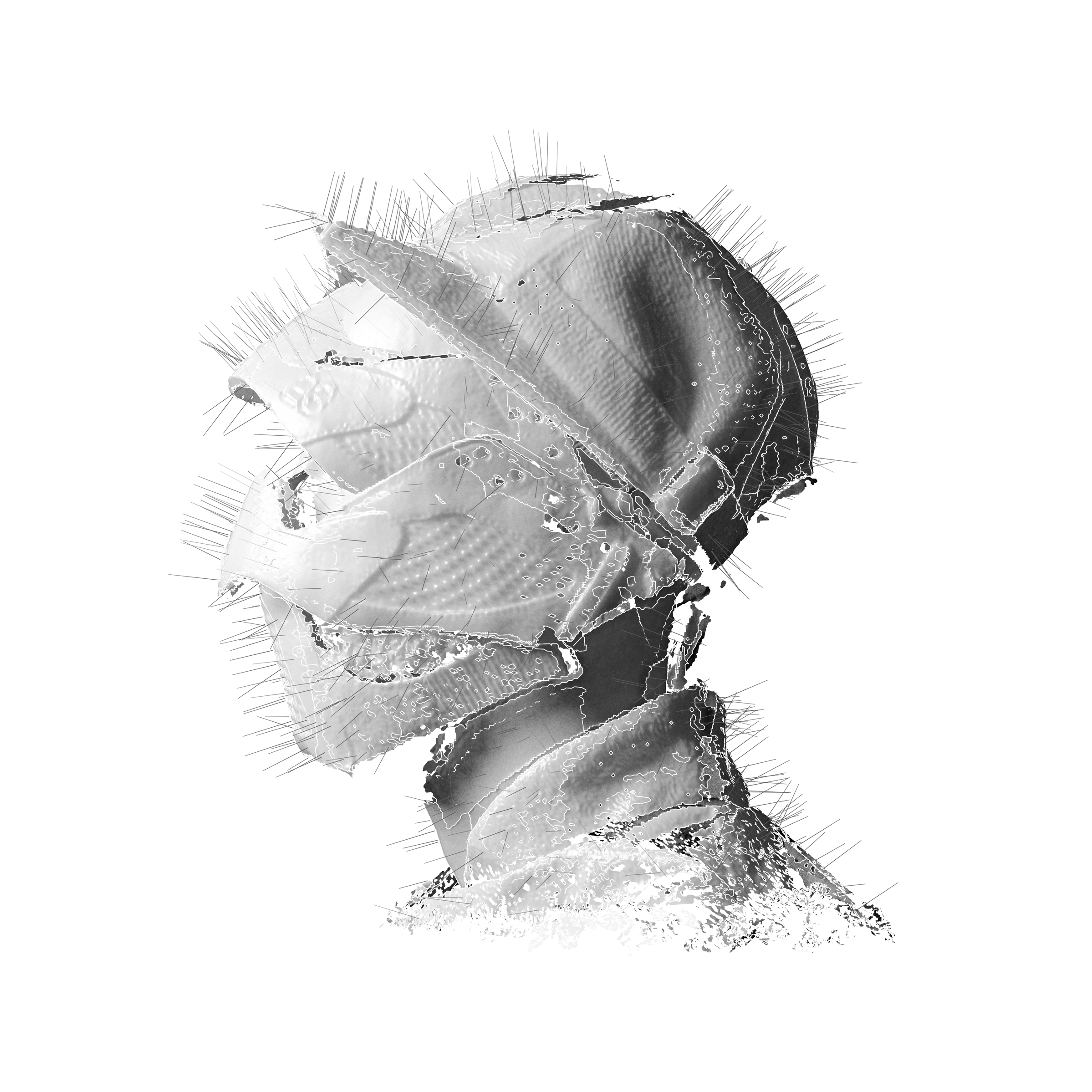 WOODKID