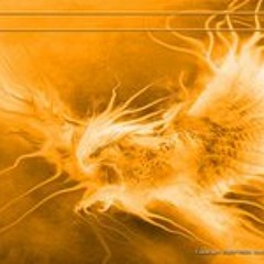 NewphoenixMax