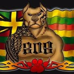 roots!!!