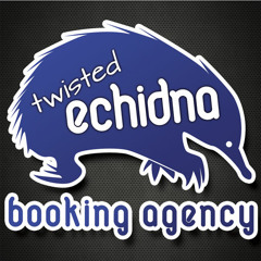 Twisted Echidna