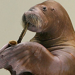 GreasyWalrus