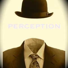 We are Perception