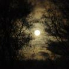 Constantin Steinbrink