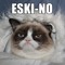 Eski-No