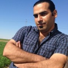 Nader Khayatei