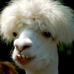 AcidLama