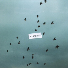 Maria Albert D. Miguel