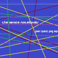 The Venice Notebooks
