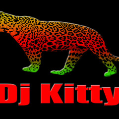 Dj kitty246
