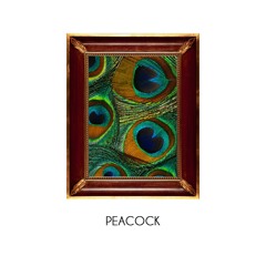 P e a c o c k