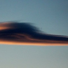 D.Amadeus- Angry World