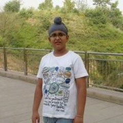 Arshneet Singh Dhingra