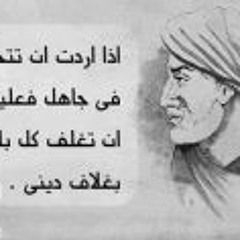 Shady Ahmed 8