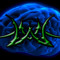 dj mindwarp