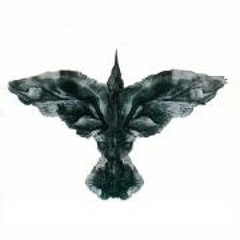 Bjørn Gunnar Selbekk