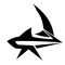 Flyter
