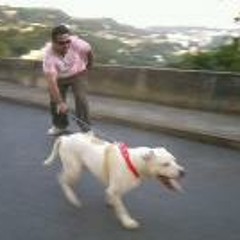 Gerardo Gonzàlez 61