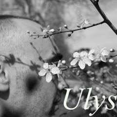 Les chants d' Ulysse