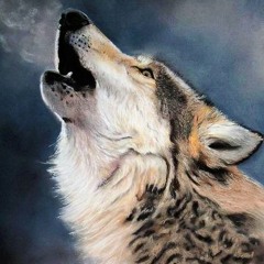 WolffPack