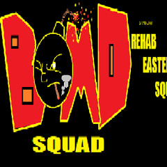 Bomdsquad2013