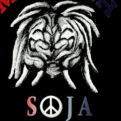 Most High Soja Production