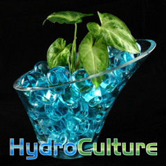 Hydroculture