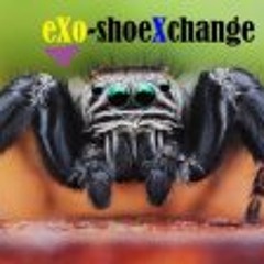 Exo Shoexchange
