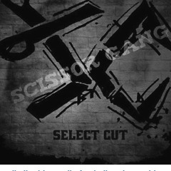Select_cut