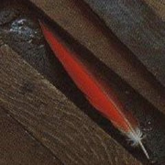 Annette Cornelia Eckert