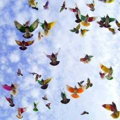 မင္းၿပန္ခဲ့ပါ-L D ေက်ာ္