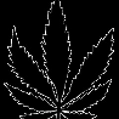 Giuliano Collacchioni