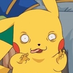 Annemiek van Panhuis