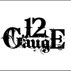 12GaugeUK