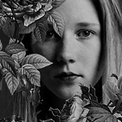 Polly Wants - Molten Light