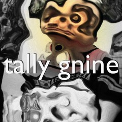 TallyGnine