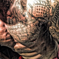 Perfection Erections