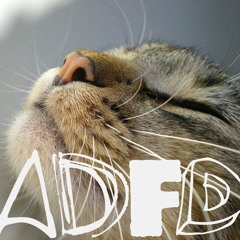 Anders Dator Felix Dator