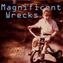 Magnificent Wrecks