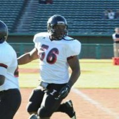 Tremaine Fat-Life Berry