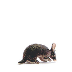 01 - Ovlov - StartUp