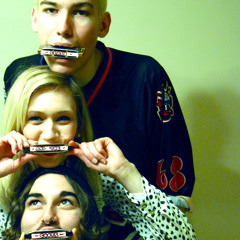 Crash And The 'Coots