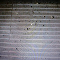 golden age of tramps