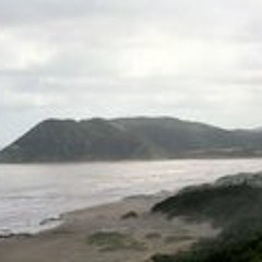 tom-11