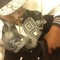 Preston Mrgwap James
