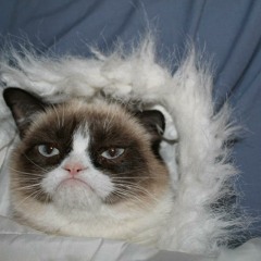 Marcella Noele Rountree