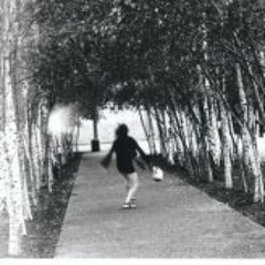 Katrien Eisenloeffel