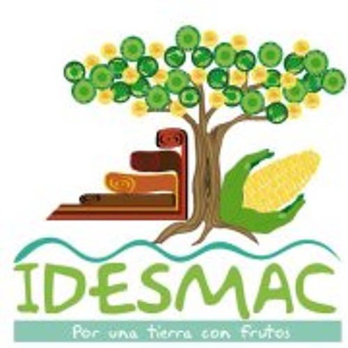 Idesmac San Cristóbal’s avatar